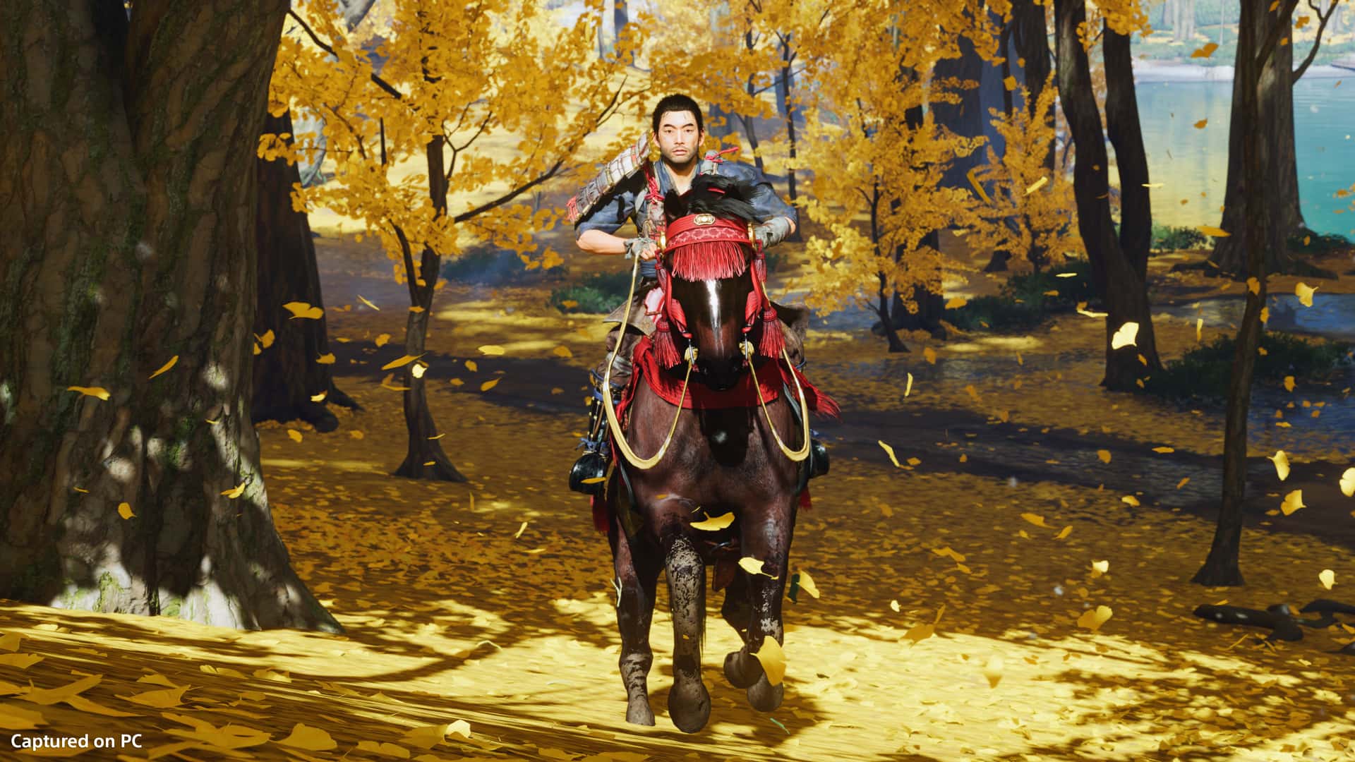 对马岛之魂 Ghost of Tsushima 导演剪辑版 全DLC最新豪华中文版插画